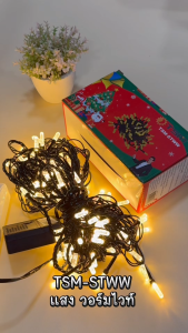 ไฟประดับ ตกแต่ง LED 100ดวง ไฟเทศกาล ยาว10เมตร ไฟกระพริบ ไฟตกแต่ง ไฟ รุ่น TSM-STWWTSM-STRGB