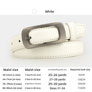 Kangaroo | Fashionable Business Style Womens Belt