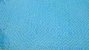 สระว่ายน้ํา ใบไม้ ตาข่าย พร้อมเสายืดไสลด์ เครื่องมือทําความสะอาดอ่างน้ําHongKong60