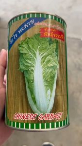 ปลาทอง ผักกาดขาว ขาวปลี ขนาด 500 กรัม หมดอายุ 03/2570ลอตใหม่ งอกดี กาบใหญ่ ปลีขาว ห่อแน่น ทนทานโรค อายุเก็บเกี่ยว 50 วัน ปลูกได้ตลอดทั้งปี