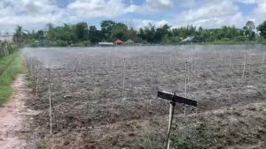 Que cắm béc tưới trụ đỡ béc tưới  sợi thuỷ tinh dài 50cm 1m dày 8 li cây cắm béc phun mưa tưới gốc tưới cây Mạnh Phát