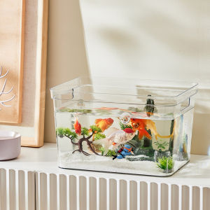 JILAIYAO | Luxurious Clear Aquarium Decorative Tank with Base