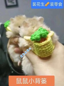 Decorative Hamster Backpack Mini Pet Toy Dwarf Chinchilla Flower Rat Dragon Cat Small Pet Snacks Double Shoulder Bag