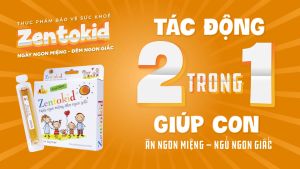 Siro ăn ngon ZENTOKID hộp 10 ống Uống Giúp Bé Ăn Ngon Ngủ Khỏe Chiết Xuất Từ Dược Liệu Quý