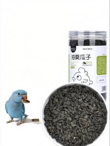PET AND YOU | Training Reward Bird Seed Oil Sunflower Seeds