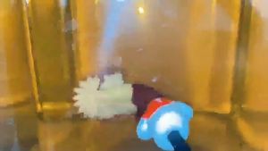 Youngke ไม้ล่อปลา ไม้ล่อปลากัด ปลากัด แบบหัวปลากัด มีหลายแบบหลายราคาให้เลือก อุปกรณ์ตู้ปลา