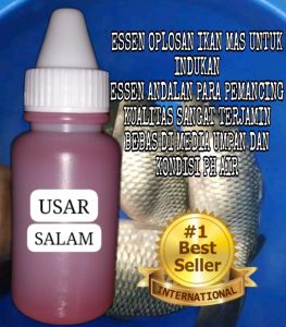 Essen ikan mas super gacor target indukan