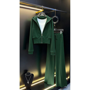 LIANGYILAILIN | Thickened Hooded Sweatshirt Casual Sporty Two-Piece Set