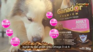 Bao 3kg Thức Ăn Hạt Ganador Cao Cấp Dành Cho Chó