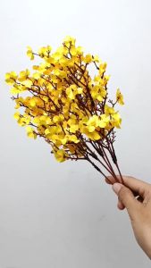 Bunga Sakura Meihwa Bold Color & AF71