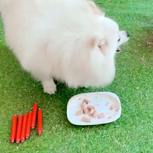 100Pcs Pet Sausage for Dogs 100 Pcs Dog Sausage Cat Sausage Pet Snack Cat Dog Food Treats Dog Training Sausage