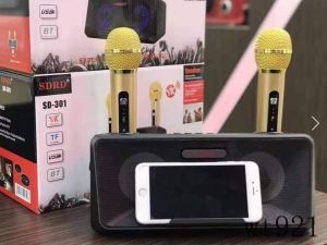 BLUETOOTH SPEAKER ORIGINAL SDRD AUXILLARY FREE 2PCS WIRELESS MICROPHONE