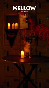 DRUNK HALLOWEEN (เครื่องประดับสำหรับหมาน้องแมว) - ระบบที่มีความพึงพอใจสูงสุดสำหรับน้องหมาน้องแมว