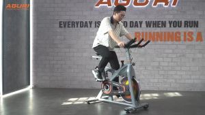 Xe đạp tập tại nhà AGS-217 tay cầm đa chấu vòng bi NBK Nhật bánh đà 8kg phanh khẩn cấp bàn đạp chống trơn trượt