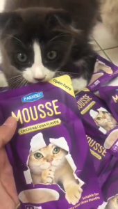 LDECO 85g Mousse Cat Wet Food Pouch Cat Treats and Snacks Pet Wet Food Makanan Kucing Pouch Chicken & Tuna & Beef
