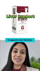 HEPASYL 100 SAMe-Liver Supplement for Dogs and Cats (30 Tablets / Bottle)