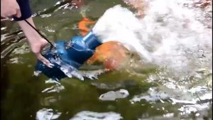 SOBO ปั้มน้ำประหยัด (12000/16000/22000/26000/33000/40000/45000/55000/40L/33L)