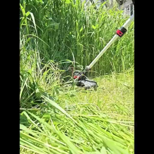 Brush Cutter Blade Nylon Trimmer Blade Universal Lawn Mower Grass Trimmer Head