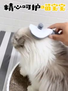 Pet Grooming Brush Grooming Cleaning Brush Pet Dog And Cat Accessories Grooming and Depilation Tools