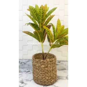 Pohon Daun Puring Worten X2 T50 Semi Latex Artificial Pot Dasar Hitam Cover Eceng Gondok Medium Pajangan Dekorasi Hiasan Ruangan Rumah Aesthetic