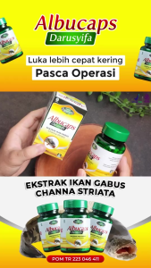 Vitamin Daya Tahan Tubuh Ingat Dan Kecerdasan Otak Albucaps Kapsul Ikan Gabus Asli Pasca Operasi
