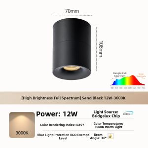 DENGFU | Dazzle Prevention Track Light for Passage Entrance Picture Living Room Bedroom
