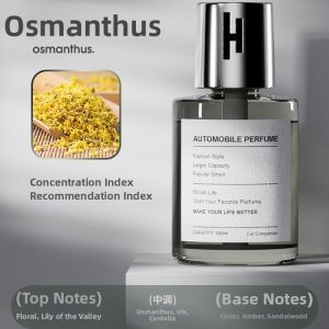 KVS | Deodorizing Long-lasting Fragrance Premium Car Air Freshener