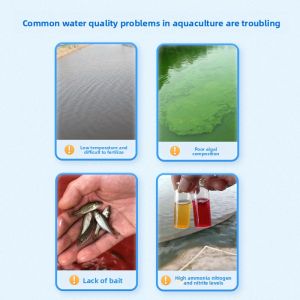 HUAXU | Aquaculture Diatom Algae Seeds Silica Algae Aquatic Fertilizer