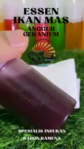 Essen Ikan Mas Aroma Anggur Geranium Umpan Mancing