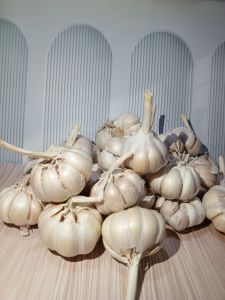 Bawang putih SINCO kualitas A