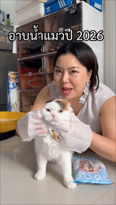 7petshop ถุงมือสปาอาบแห้งพรีเมียม หอมสะอาดอ่อนโยนต่อผิวสัตว์เลี้ยงดับกลิ่นสาป เหมือนเพิ่งออกจากสปา