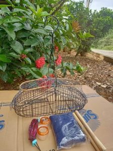 lồng lụp bẫy chim hút mậtóc mítsâukhuyên