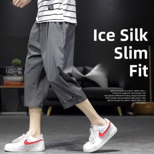 Ice Silk Seven-Five Shorts Mens Summer Thin Six-Five Casual Straight-Stream Sports Quick-Drying Trendy Brand Seven-Five Pants