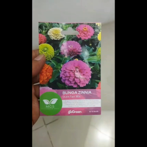 Benih Biji Bibit Bunga Zinnia State Fair Mix Mix Garden Seed - 1 Pcs