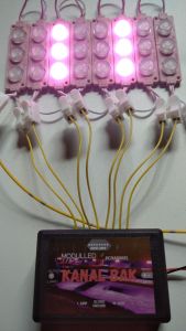 Modul led lampu mobil 12v 24v Kolong Truck 8 chanel Pink / Request warna