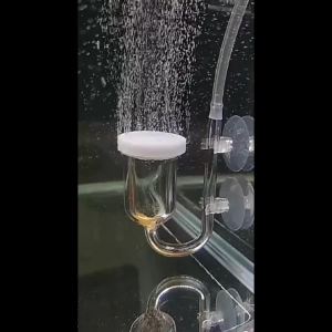 CO2 Diffuser for Aquarium Bubble Reactor CO2 System Atomizer for Fish Tank Live Plants Water Grass Grow Refiner with Suction Cup