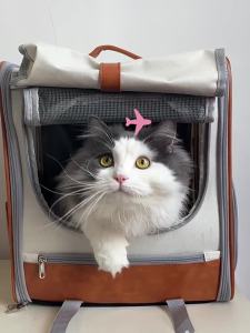 SKISOPGO Large Capacity Pet Carrier: A Comprehensive Guide