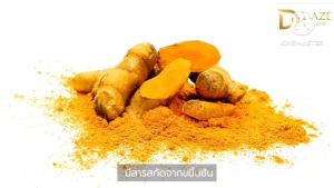 ขมิ้นชัน Curcumin