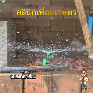 มินิสปริงเกอร์ใบ N น้ำละเอียด พร้อมวาล์วเปิด-ปิด 60-90 ลิตร/ชม. รัศมี 1-3 เมตร รหัส 321-NV