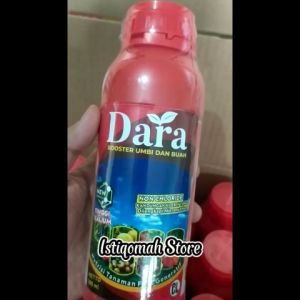 DARA 500ML Pupuk Booster Buah Pelebat Tanaman Cabe Pupuk Perangsang Buah Lebat untuk Cabe Obat Cabe Berbuah Lebat Pupuk Cabe Rawit Sampai Bosan Petik Pupuk Cabe Merah Super Lebat Solusi Peningkat Hasil Panen Cabe Pupuk Cabe Terbaik