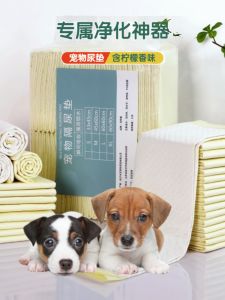 Thickened Dog Urinal Mat 100 Sheets Pet Supplies Odor Eliminator Absorbent Pad Diaper Cat Rabbit Urine Proof Mat