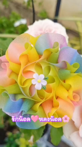 ริบบิ้นกากเพชรใสสีรุ้ง ตรา TW ม้วนเล็ก ยาว 30 หลา ขนาด 12 mm. พับเหรียญโปรยทาน เนื้อนิ่ม (ราคาต่อม้วน)