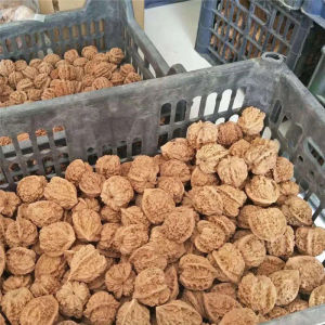 Nanjiang Stone Lions Head KIRIN Grain Large Officers Cap Four Buildings Lions Head after Playing Plate Collection Walnuts Hand Toy