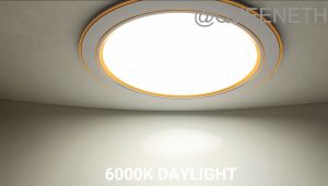 Recessed Downlight Fixtures: Bright & Efficient Lighting Solutions