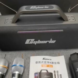 X14 X12 200W Portable Karaoke Speaker with Microphone Wireless Bluetooth Multimedia Subwoofer Home Theatre System