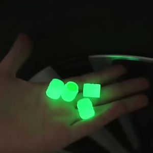 Pentil Ban Glow In The Dark: Aksesoris Ban Motor & Sepeda Universal