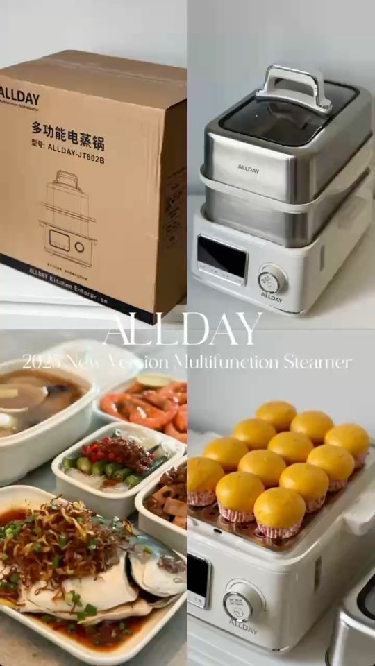 ALLDAY 【升级】1800W 多功能电蒸锅|十大功能|不锈钢双层电蒸锅 / ALLDAY 1800W Stainless Steel Multifunction Electric Steamer