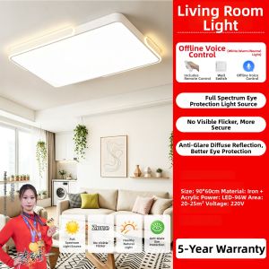 PAIMIJI | New Minimalist Living Room Ceiling Light Rectangular Full Spectrum Eye-care