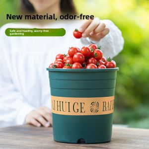 MONLEYTA | Home Use Gallon Pot Plastic Resin Thickened Large Diameter Durable Planting Flower Pots For Balcony Green Ivy Simple Style