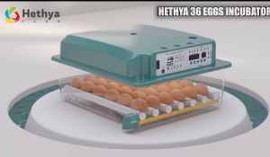 ตู้ฟักไข่ ตู้ฟักไข่ออโต้ 64/36/16ฟอง Egg incubator ตู้ฟักไข่แบบใหม่ อัพเกรดถาดไข่แบบปรับได้ การป้องกันไฟแบบสองด้าน การหมุนไข่อัตโนมัติ มีไฟส่องไข่